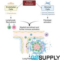 Braun Cytofix Catheter without guide FG 20 - Pack (5 Single)