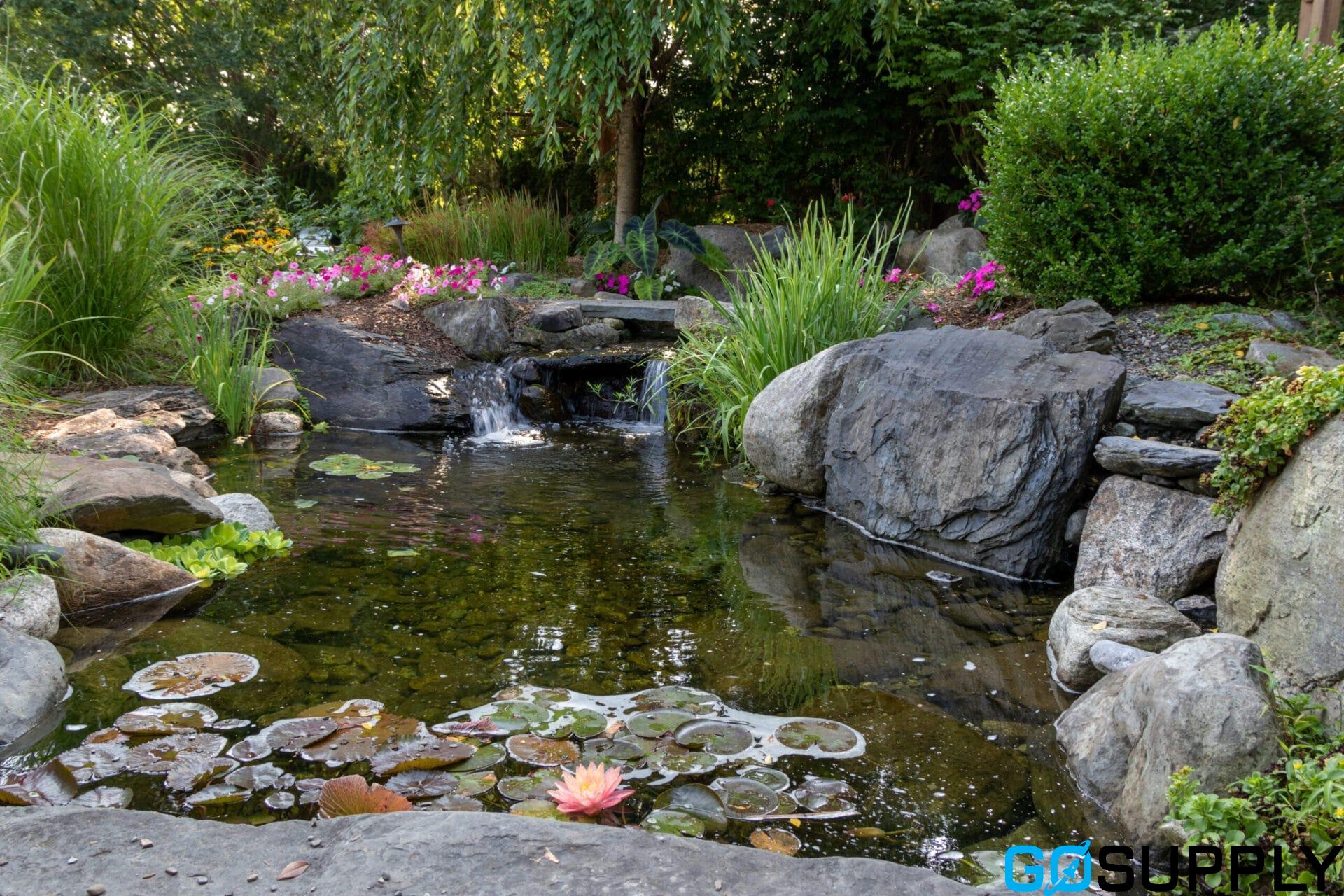 POND'S Dreamflower Fragrant Talc Pink Lilly, 400 g