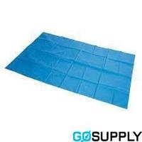 SLIPPERY SALLY SLIDE SHEET - Size: 2X1.45M Type: Single Patient Use